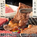 画像10: 静岡そだち 三ケ日牛 焼肉セット 600g (10)