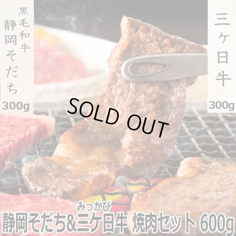 画像10: 静岡そだち 三ケ日牛 焼肉セット 600g (10)