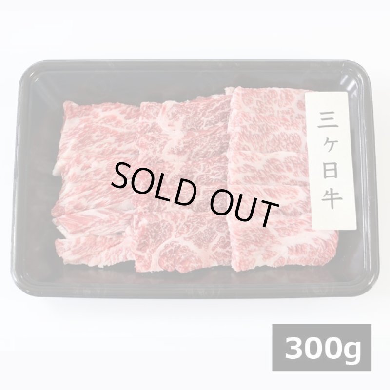 画像5: 静岡そだち 三ケ日牛 焼肉セット 600g (5)