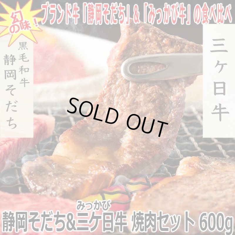 画像1: 静岡そだち 三ケ日牛 焼肉セット 600g (1)