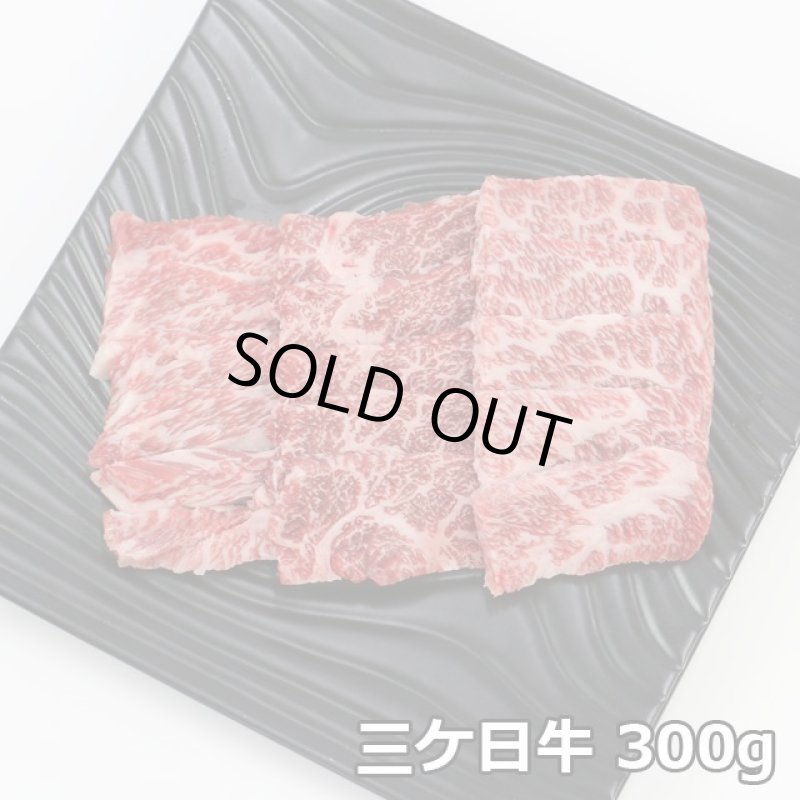 画像6: 静岡そだち 三ケ日牛 焼肉セット 600g (6)