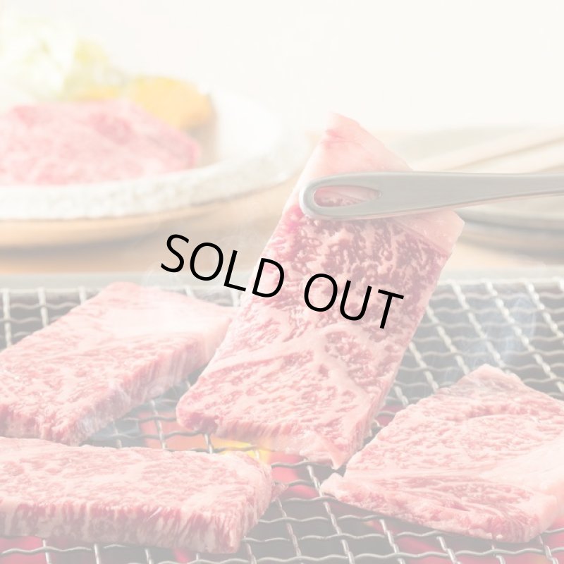 画像7: 静岡そだち 三ケ日牛 焼肉セット 600g (7)