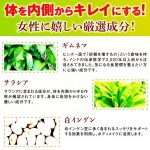 画像6: 送料無料！好きなものを食べてもいい日が毎日！スラッと美スリムリミットダイエット[3パック/計120粒]  (6)