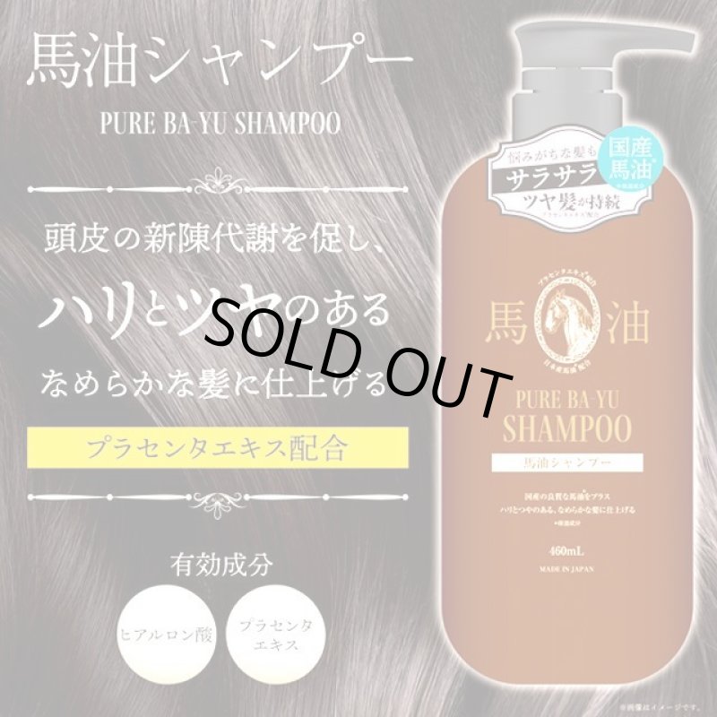 画像2: 送料無料！国産の良質な馬油をプラス！馬油シャンプー460ml＆トリートメント460mlセット (2)
