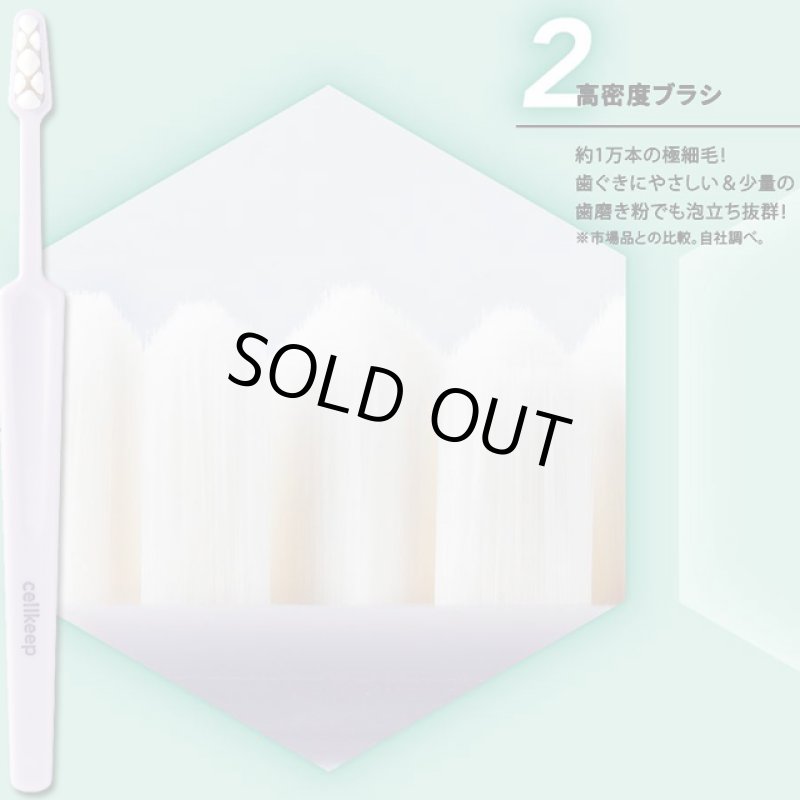 画像4: 歯周病専門医共同開発！山型ブロック高密度歯ブラシ セルキープ4色セット (4)