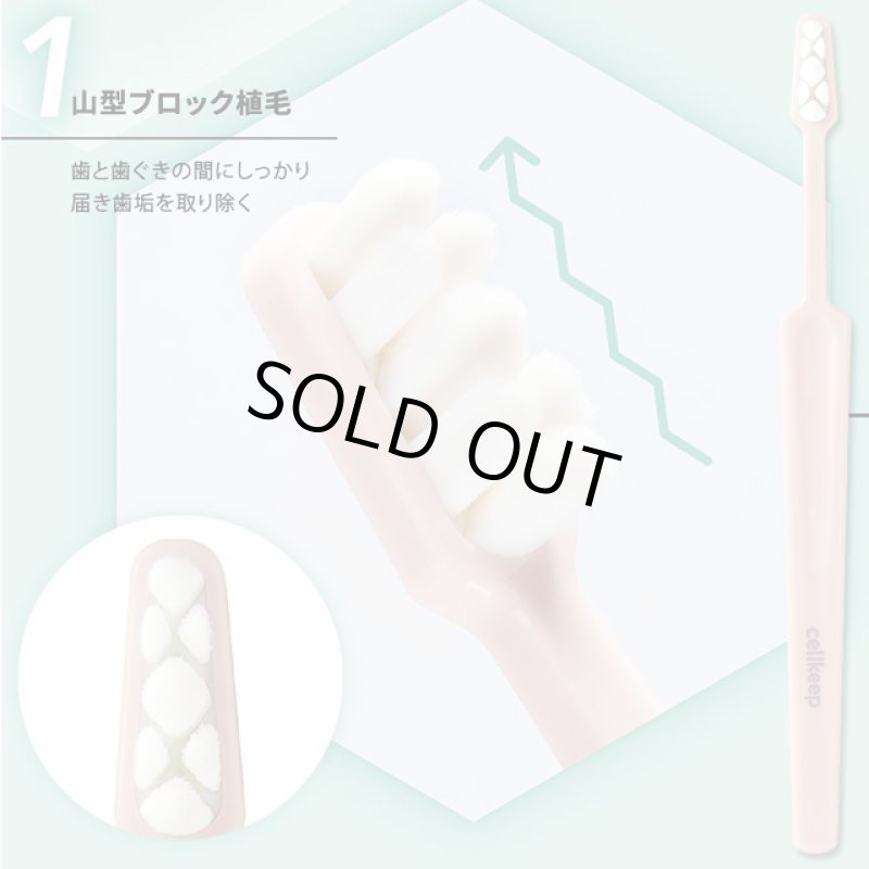 画像3: 歯周病専門医共同開発！山型ブロック高密度歯ブラシ セルキープ4色セット (3)