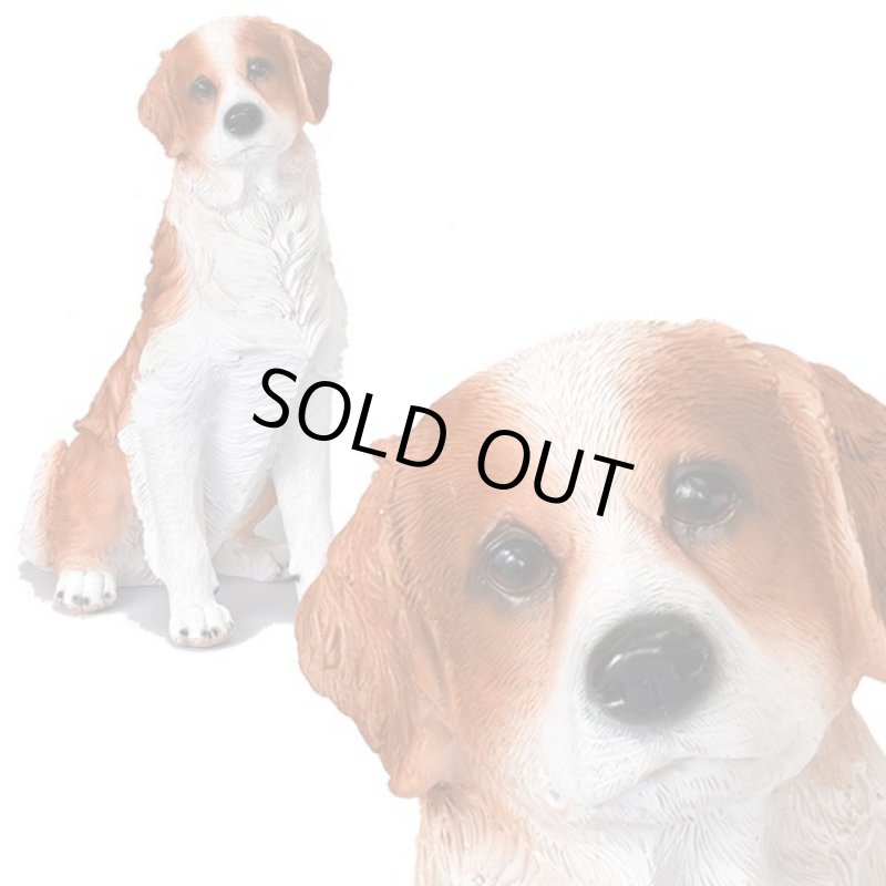 画像6: 親愛なる相棒犬コーイケルホンディエのリアルオブジェ (6)