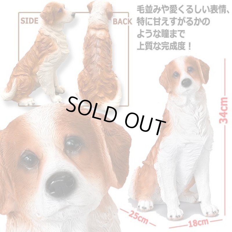 画像4: 親愛なる相棒犬コーイケルホンディエのリアルオブジェ (4)