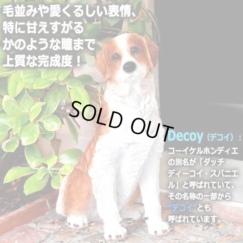 画像2: 親愛なる相棒犬コーイケルホンディエのリアルオブジェ (2)