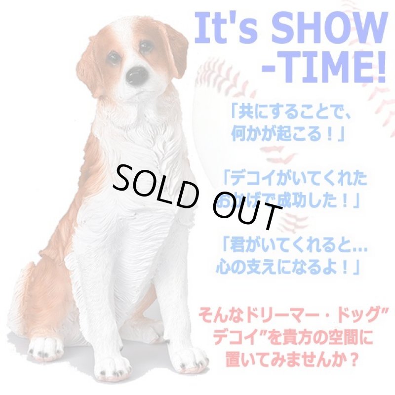 画像5: 親愛なる相棒犬コーイケルホンディエのリアルオブジェ (5)