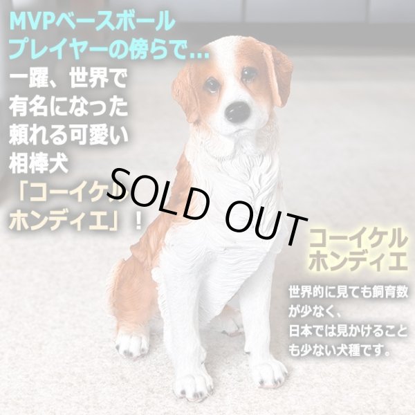 親愛なる相棒犬コーイケルホンディエのリアルオブジェYISM-K14535