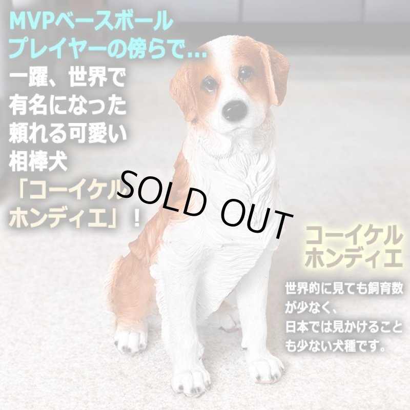 画像3: 親愛なる相棒犬コーイケルホンディエのリアルオブジェ (3)