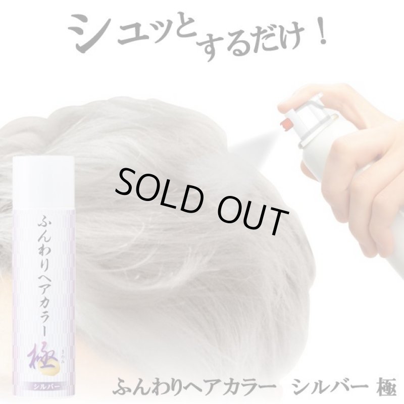 画像6: ふんわりヘアカラー シルバー 極 (6)
