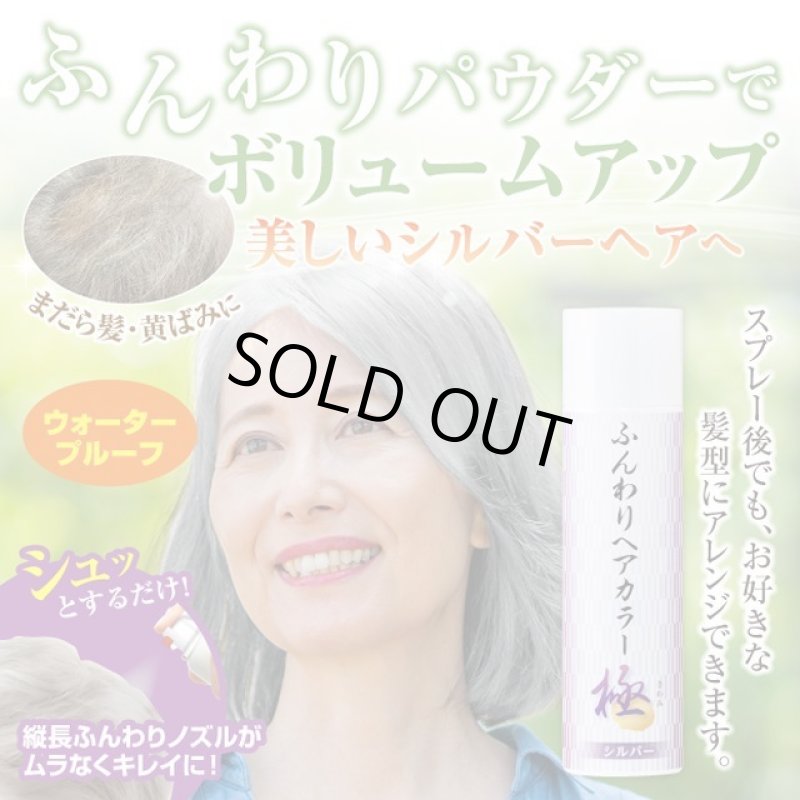画像1: ふんわりヘアカラー シルバー 極 (1)