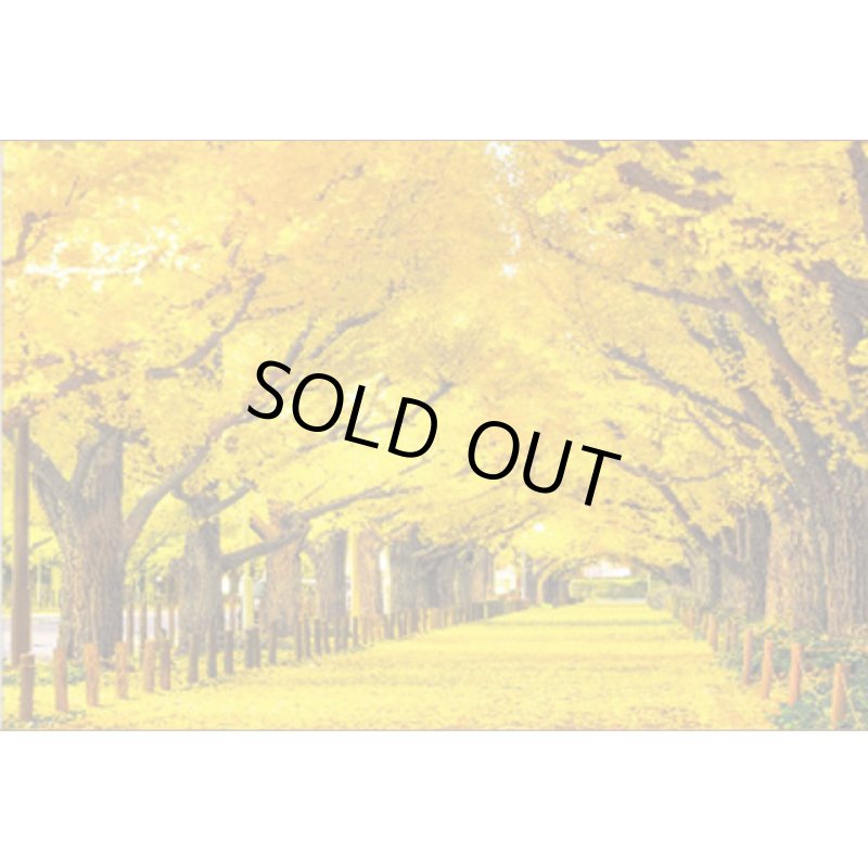 画像2: ジグソー日本の風景「神宮外苑の銀杏並木」フレームセット（300P） (2)