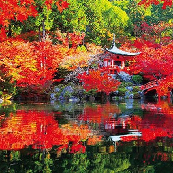 ジグソー日本の風景「秋に色づく醍醐寺」フレームセット（1000P）BVR