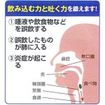 画像4: 星虎先生の呼吸筋トレーナー (4)