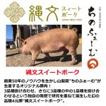 画像3: 縄文スイートポーク もも肉500g (3)