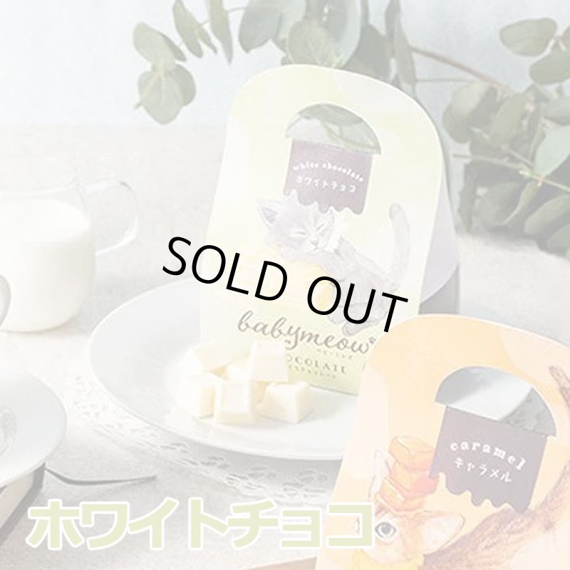 画像9: ベビーミャオのひとくちチョコレート2バッグ組 (9)