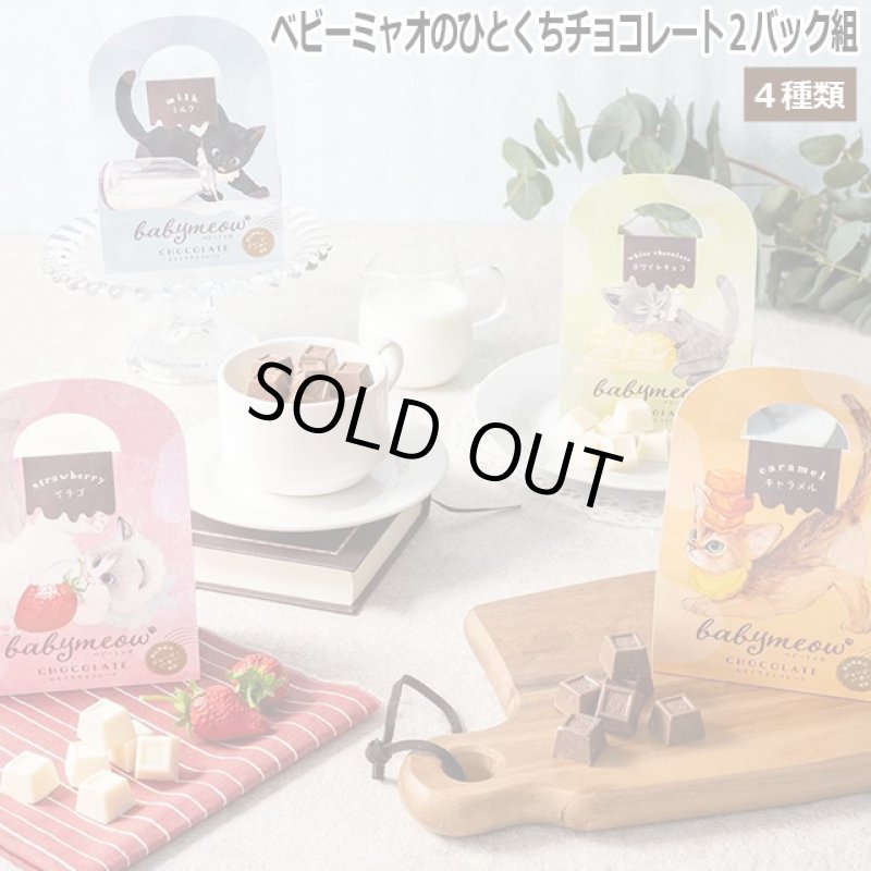 画像11: ベビーミャオのひとくちチョコレート2バッグ組 (11)