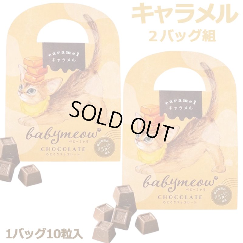 画像8: ベビーミャオのひとくちチョコレート2バッグ組 (8)