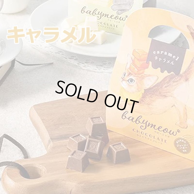 画像7: ベビーミャオのひとくちチョコレート2バッグ組 (7)