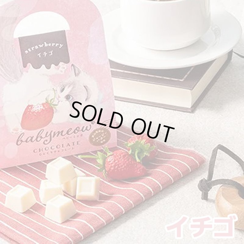 画像3: ベビーミャオのひとくちチョコレート2バッグ組 (3)