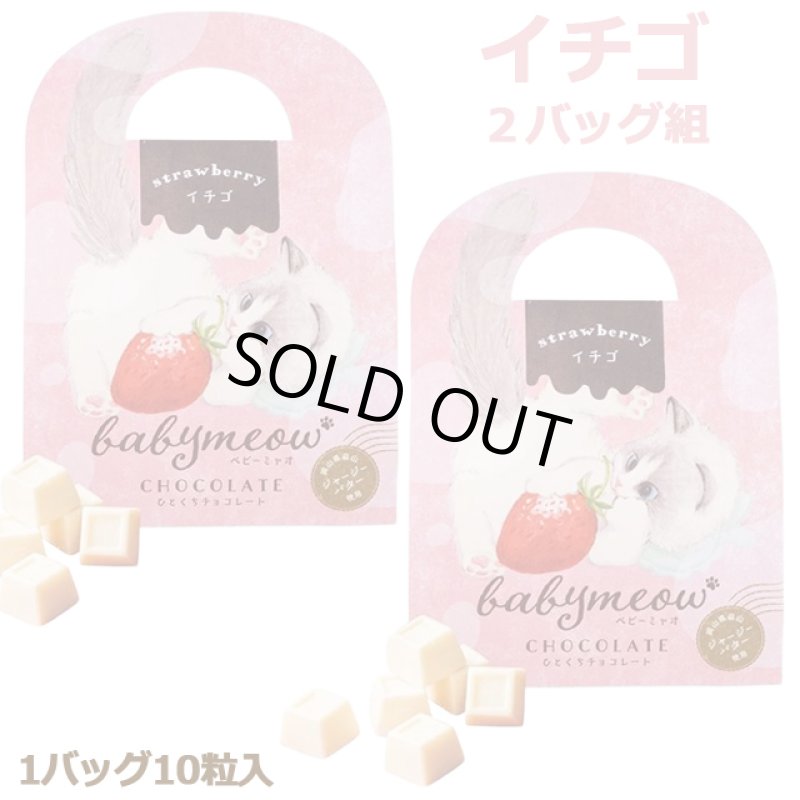 画像4: ベビーミャオのひとくちチョコレート2バッグ組 (4)