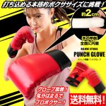 画像1: 送料無料！ボクササイズ階級チャンピオン！クッション内蔵パンチグローブ (1)