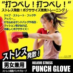 画像2: 送料無料！ボクササイズ階級チャンピオン！クッション内蔵パンチグローブ (2)