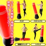 画像4: 倒してもすぐに起き上がってくる！エアー式パンチバッグ (4)