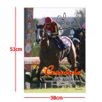 画像4: チェルヴィニア 2024年秋華賞 ジグソーパズル 500ピース (4)