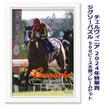 画像5: チェルヴィニア 2024年秋華賞 ジグソーパズル 500ピース木製フレームセット (5)