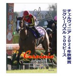 画像5: チェルヴィニア 2024年秋華賞 ジグソーパズル 500ピース (5)