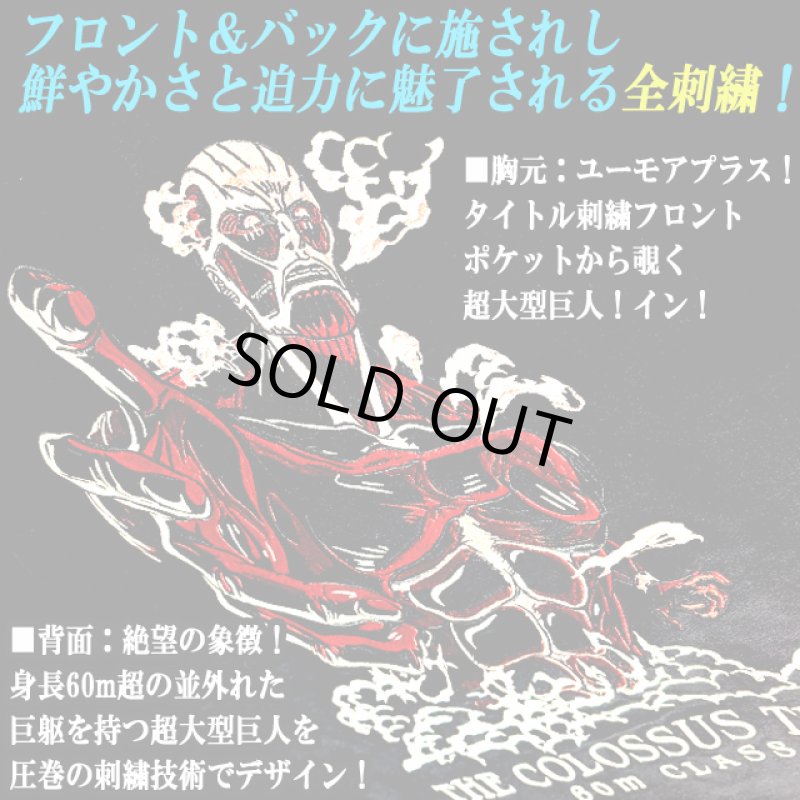 画像3: 進撃の巨人 オール刺繍Ver.天竺Tシャツ 超大型巨人 (3)