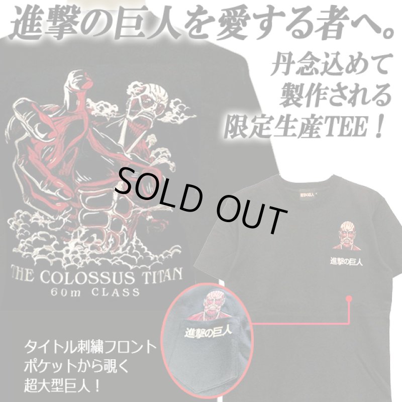 画像2: 進撃の巨人 オール刺繍Ver.天竺Tシャツ 超大型巨人 (2)