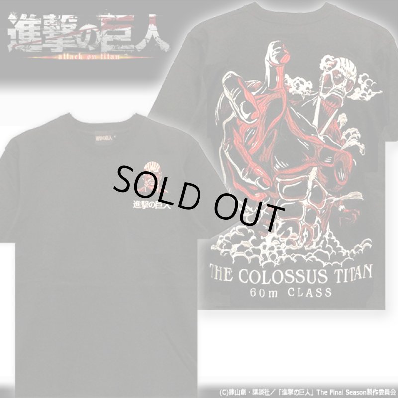 画像5: 進撃の巨人 オール刺繍Ver.天竺Tシャツ 超大型巨人 (5)