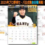 画像1: 2025年3月-2026年2月ジャイアンツスケジュールカレンダー プロ野球セ・パ公式戦全日程掲載版 (1)