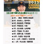 画像3: 2025年3月-2026年2月ジャイアンツスケジュールカレンダー プロ野球セ・パ公式戦全日程掲載版 (3)
