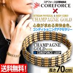 画像1: コンディショニングアクセサリー コアフォースループ シャンパンゴールド/SUS70 (1)