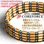 画像3: コンディショニングアクセサリー コアフォースループ シャンパンゴールド/SUS70 (3)