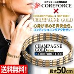 画像1: コンディショニングアクセサリー コアフォースループ シャンパンゴールド/SUS50 (1)