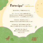 画像8: フォレシピ ちいさな森のドーナツ8個 (8)