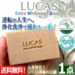 画像1: 送料無料！LUCASルカス 天然由来成分100％ホワイトセージソープ 1点  (1)