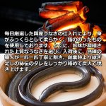 画像4: 送料込！うなぎ専門店「川昌」うなぎ蒲焼き 1人前 (4)