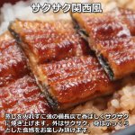 画像6: 送料込！うなぎ専門店「川昌」関西風うな重 2人前 (6)