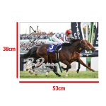 画像7: ドウデュース 2024年ジャパンカップ ジグソーパズル 500ピース (7)