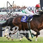 画像5: ドウデュース 2024年ジャパンカップ ジグソーパズル 500ピース 木製フレームセット (5)