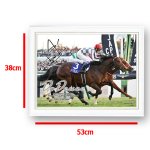 画像7: ドウデュース 2024年ジャパンカップ ジグソーパズル 500ピース 木製フレームセット (7)
