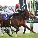 画像6: ドウデュース 2024年ジャパンカップ ジグソーパズル 500ピース 木製フレームセット (6)